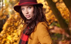 黄金罗盘有几部